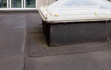 disadvantages of Great Heath flat roofs