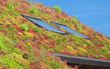 Great Heath living roof systems