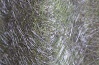 Great Heath fibreglass roof work